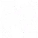 partners